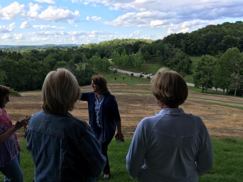View from Meadow Hill Boyce Park